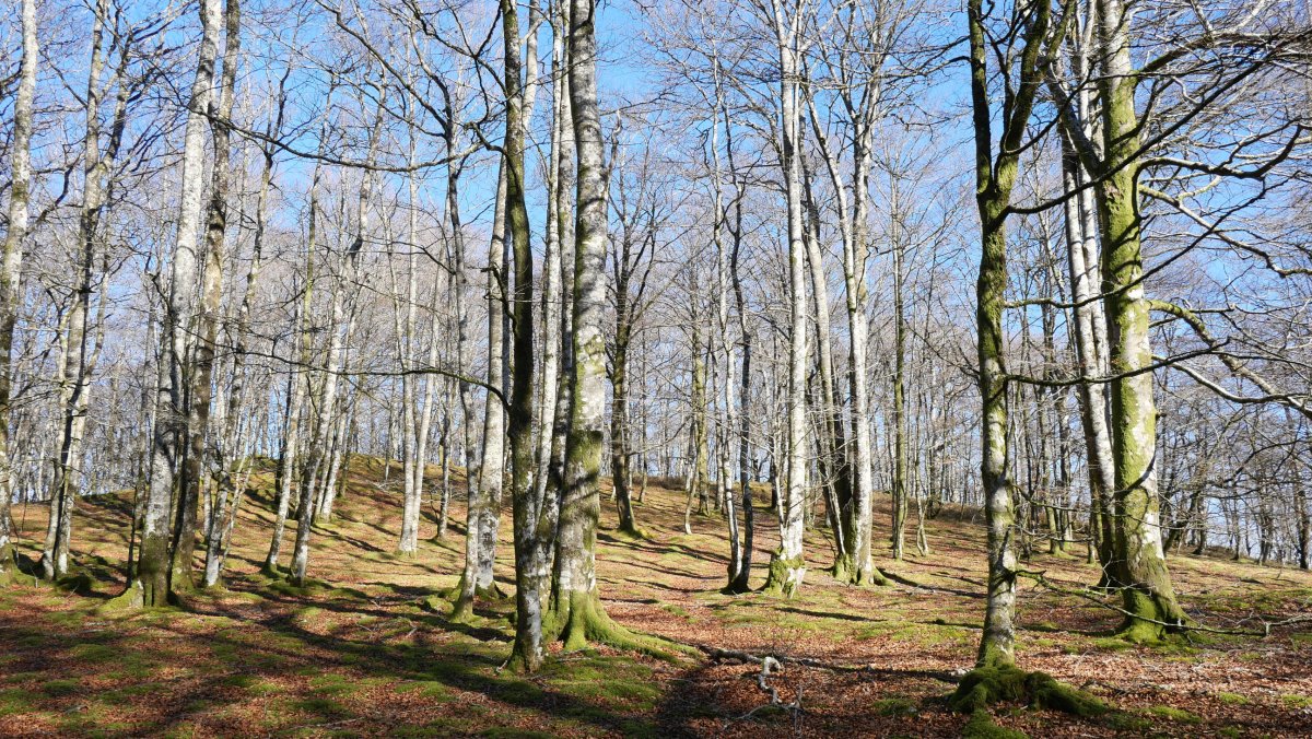 Intsusti gainaren inguruak