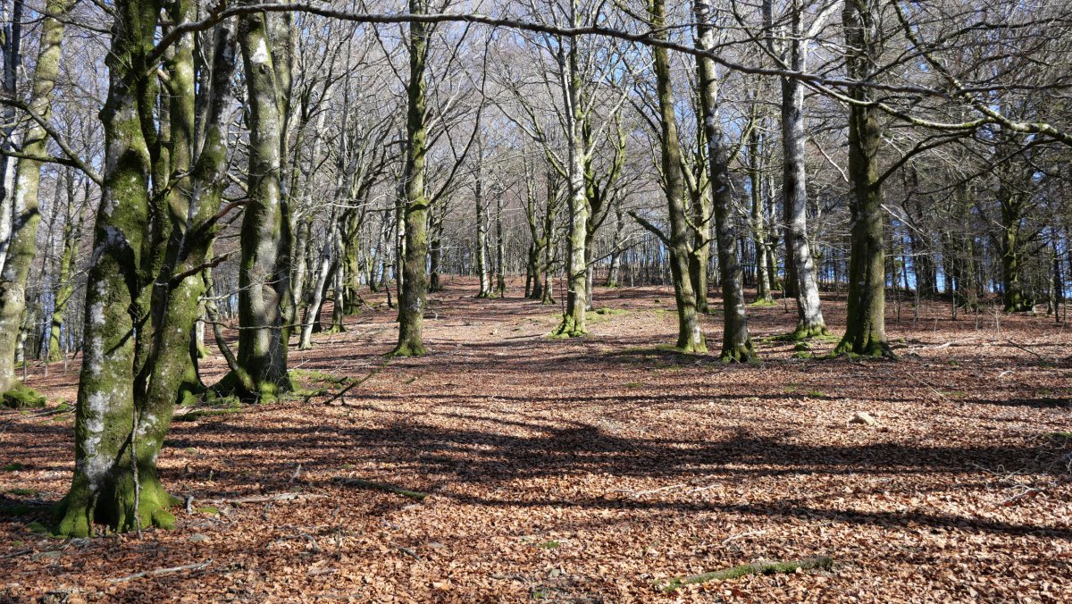 Lexarburu gailurrerako azken txanpa HMko bizkarrean gora