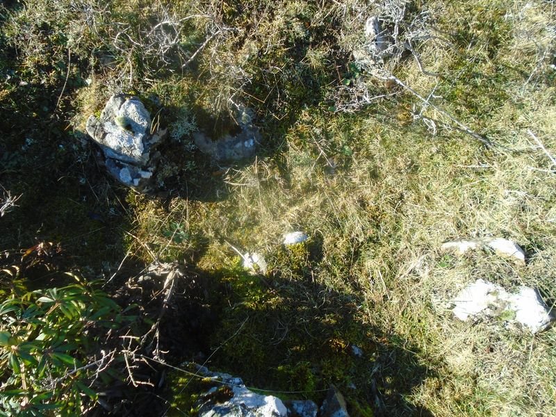 san lorenzo trikuharria