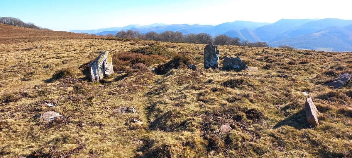 Olegiko lepoa harrespilak