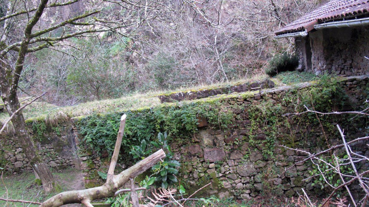 Endaraberea errota, Lesaka