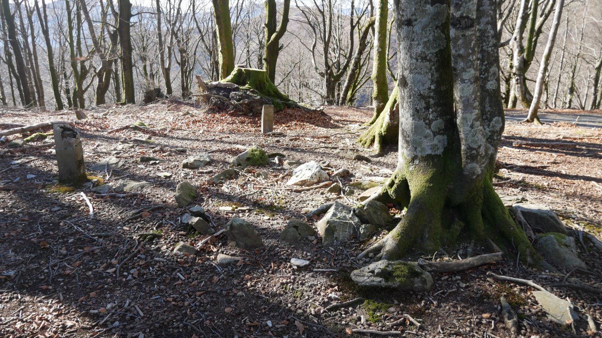 Biamendiko lepoa harrespila