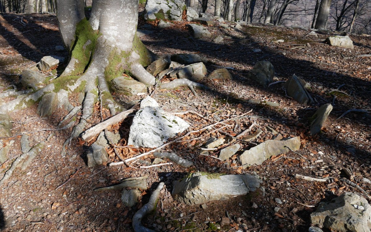 Biamendiko lepoa harrespila