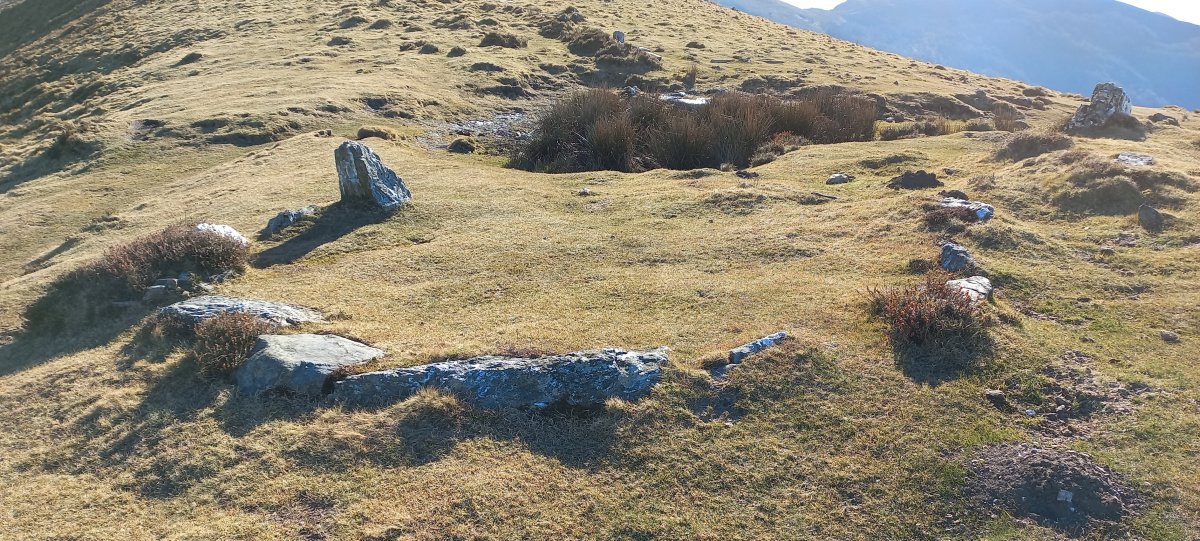 Beltzuntza harrespila