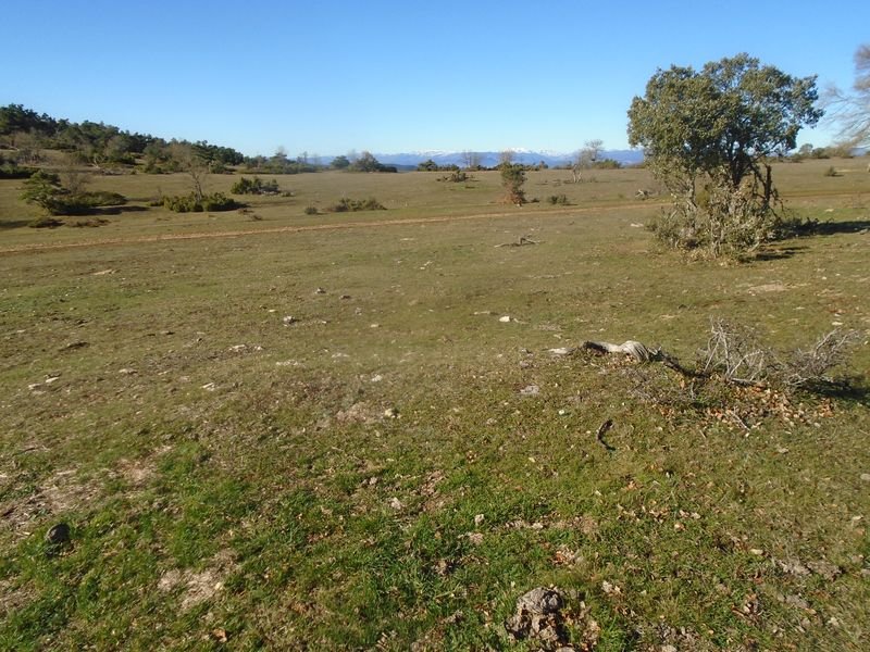 paso de campullido 1