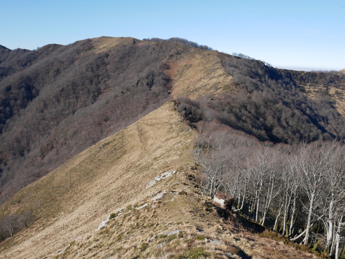 Arainburu Ekaitzako bizkarretik