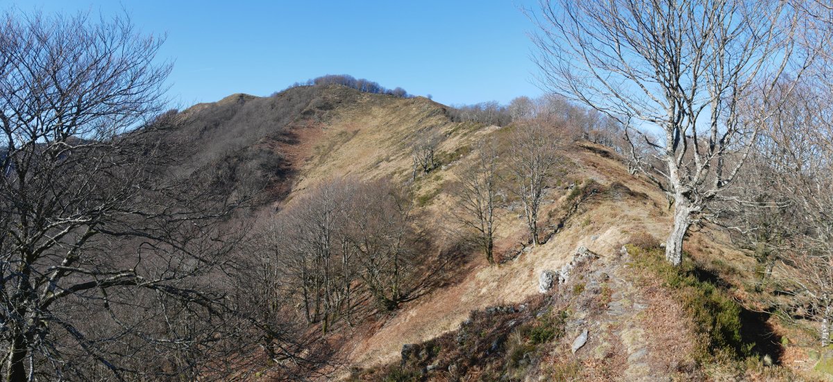 Arainburu Ekaitza aldeko bizkarretik