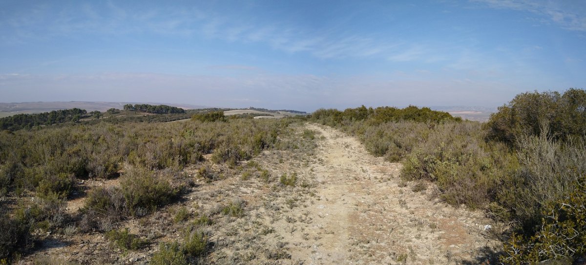 Gain gehienek antzeko altuera dute