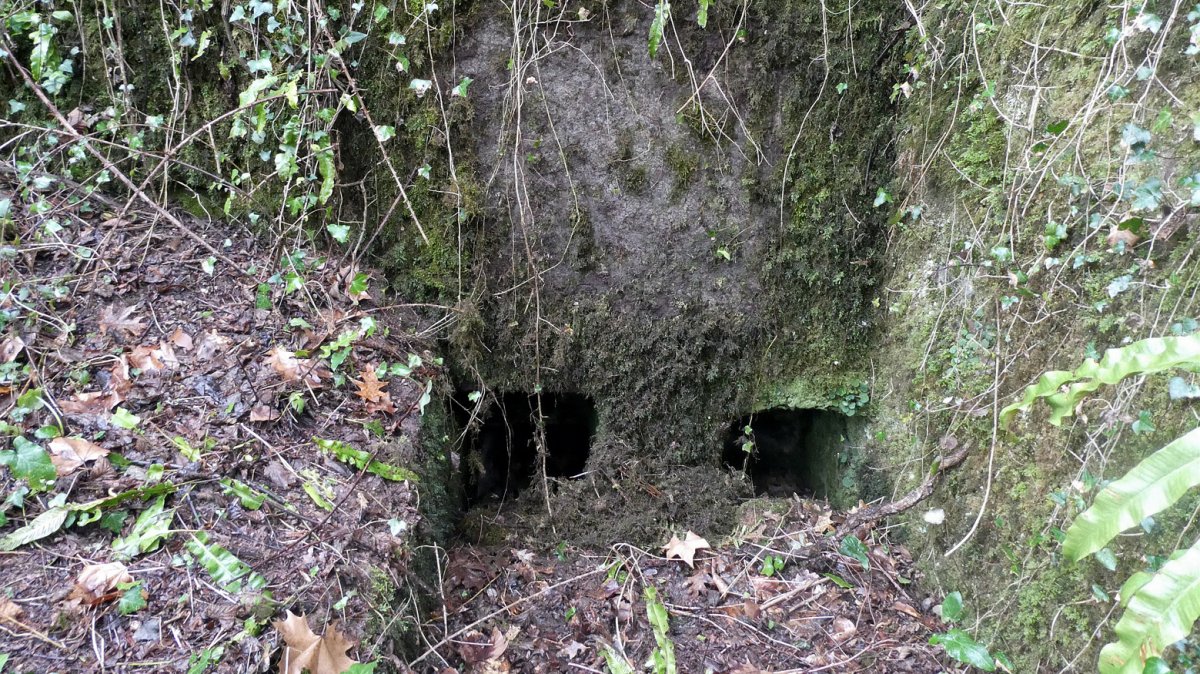 Zabaletako Errota, Erratzu-Baztan