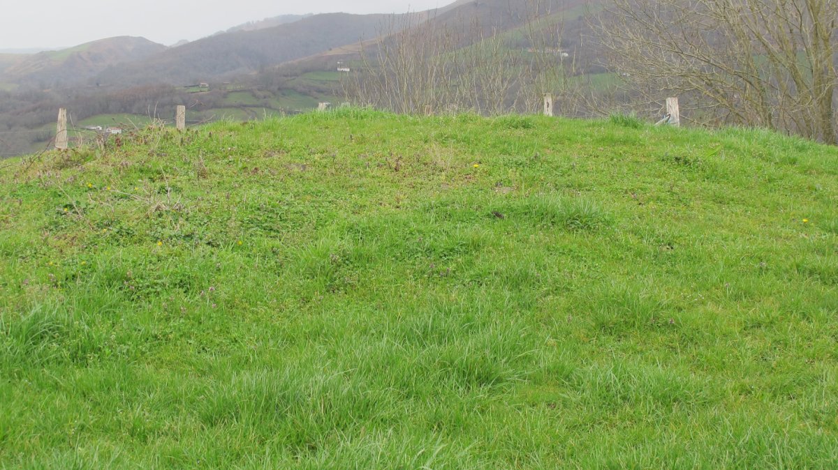 Etxeberriko Borda tumulua, Erratzu-Baztan