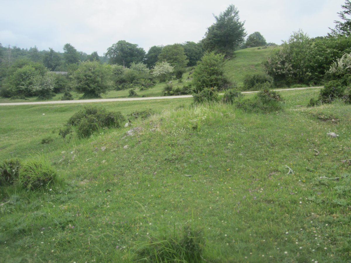 Túmulo Zuloko Iturria (08-2012)