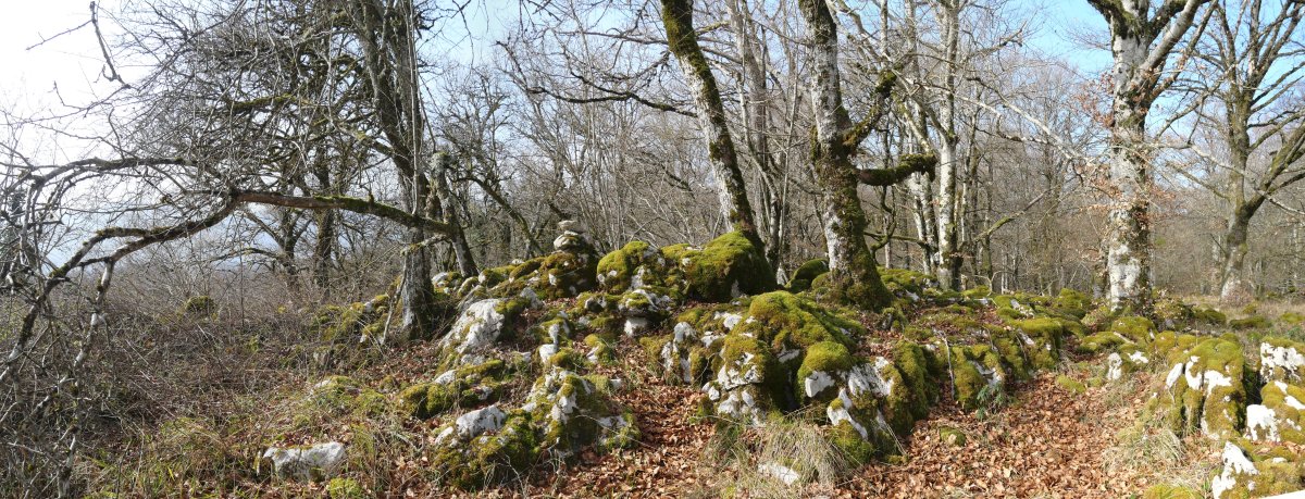 Aitzuriaga muinoaren tontorra, HMan