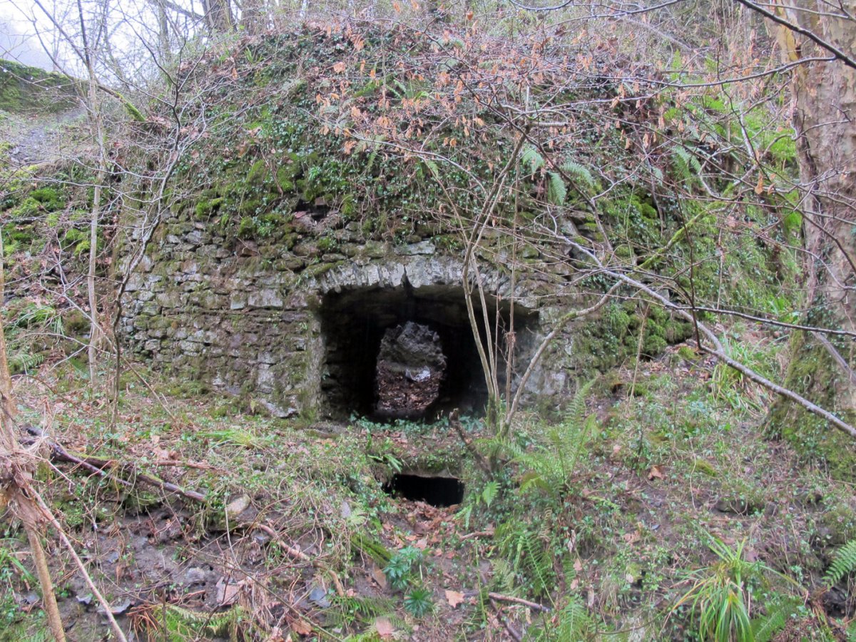 Ozkaritz I karobia, Etxalar