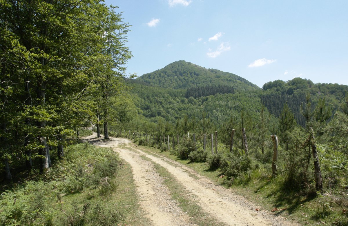 Narbaizu aldetik ikusita