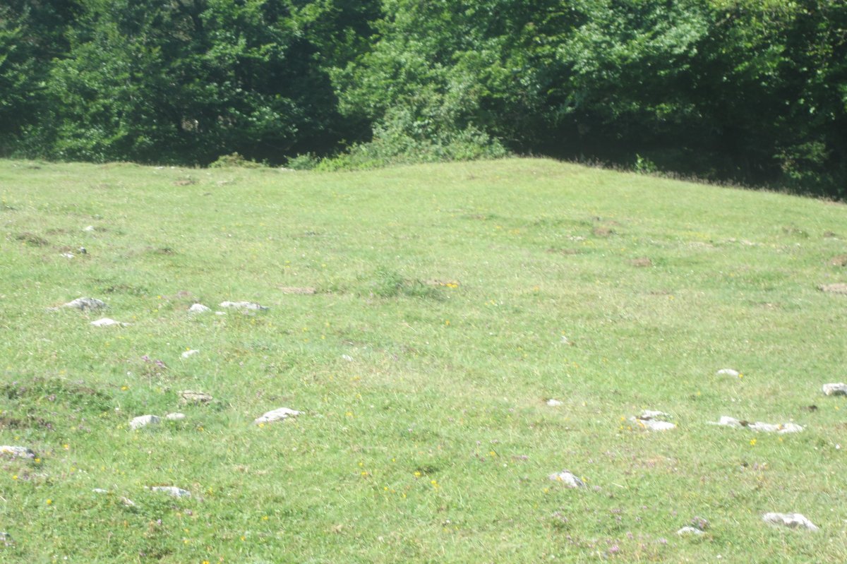 Fondo de Cabaña Las Choas (26-06-2021)