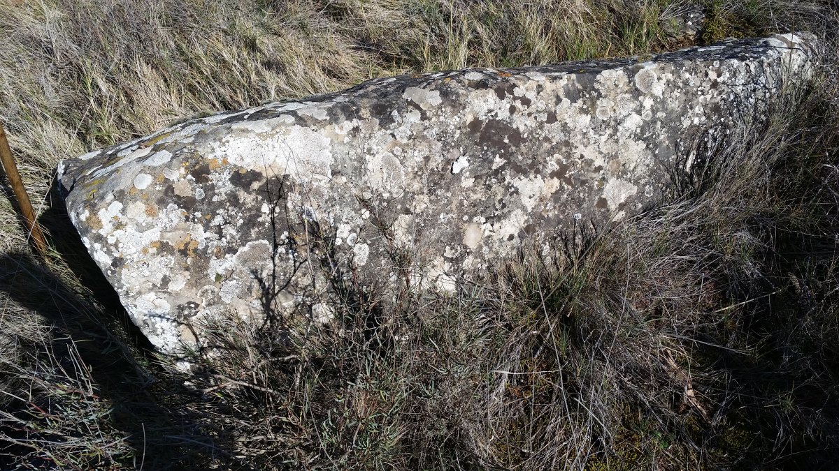 Monolito  Onceta  (Febrero 2022)