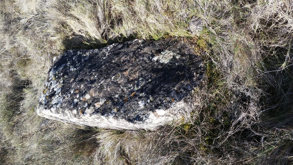 Monolito  Onceta  (Febrero 2022)