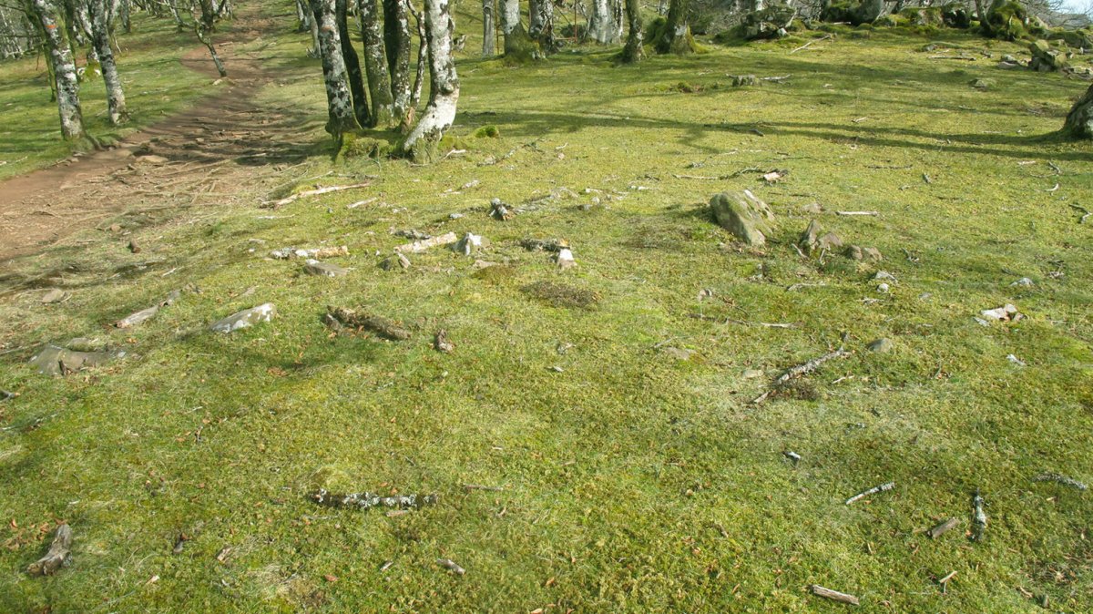 Olhateko Lepoa tumulua, Erratzu-Bazan