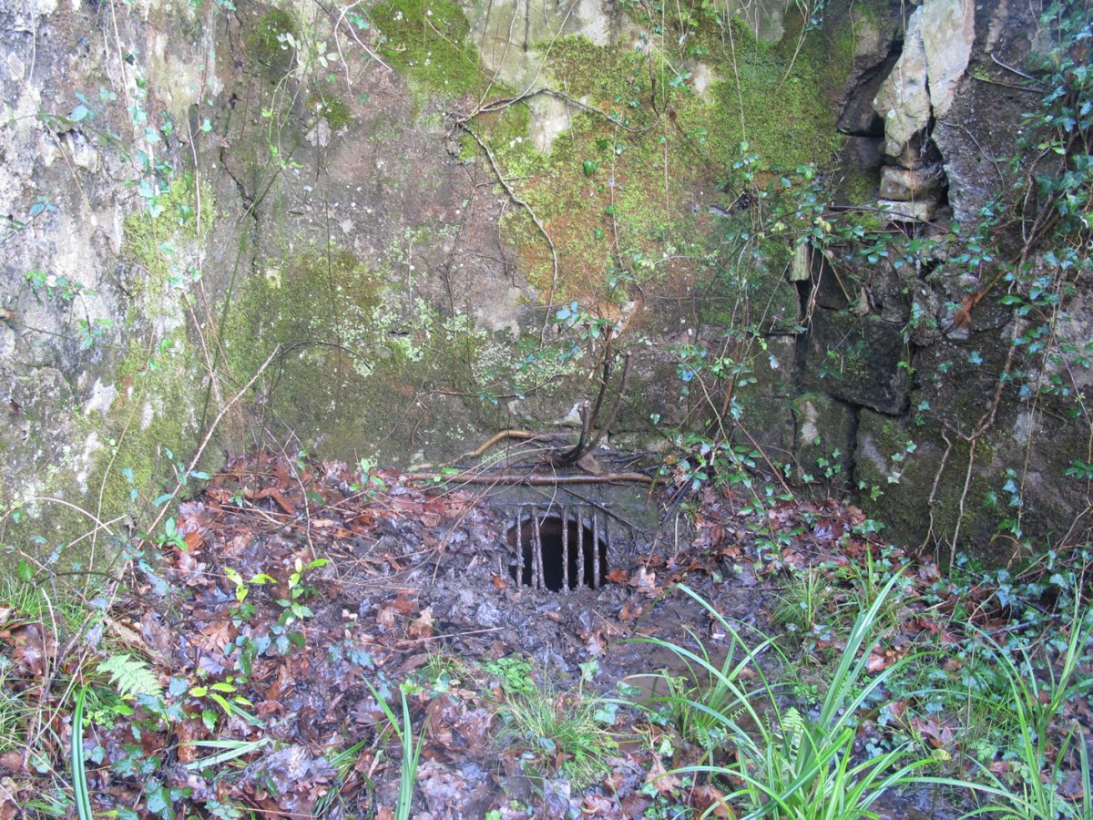 Errotako uraren sarrera, Irun