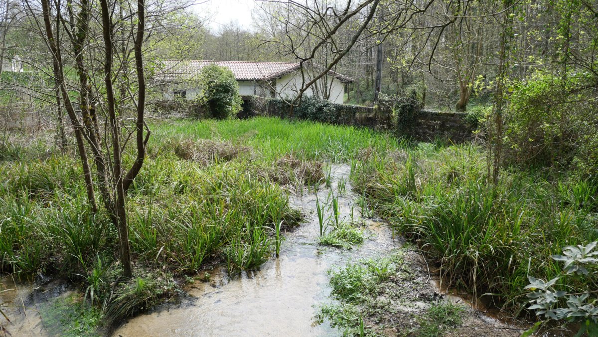 Antepara, Goikoerrota, Hondarribia