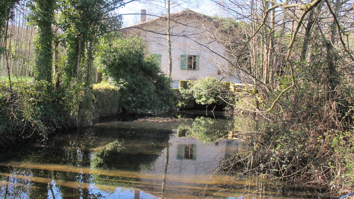 Ugaldeko Errota, Irun