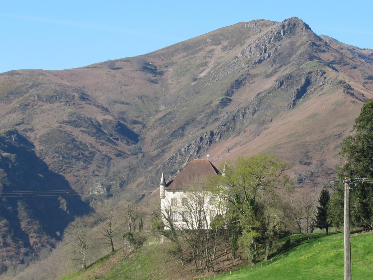 Etxauz Jauregia, Baigorri