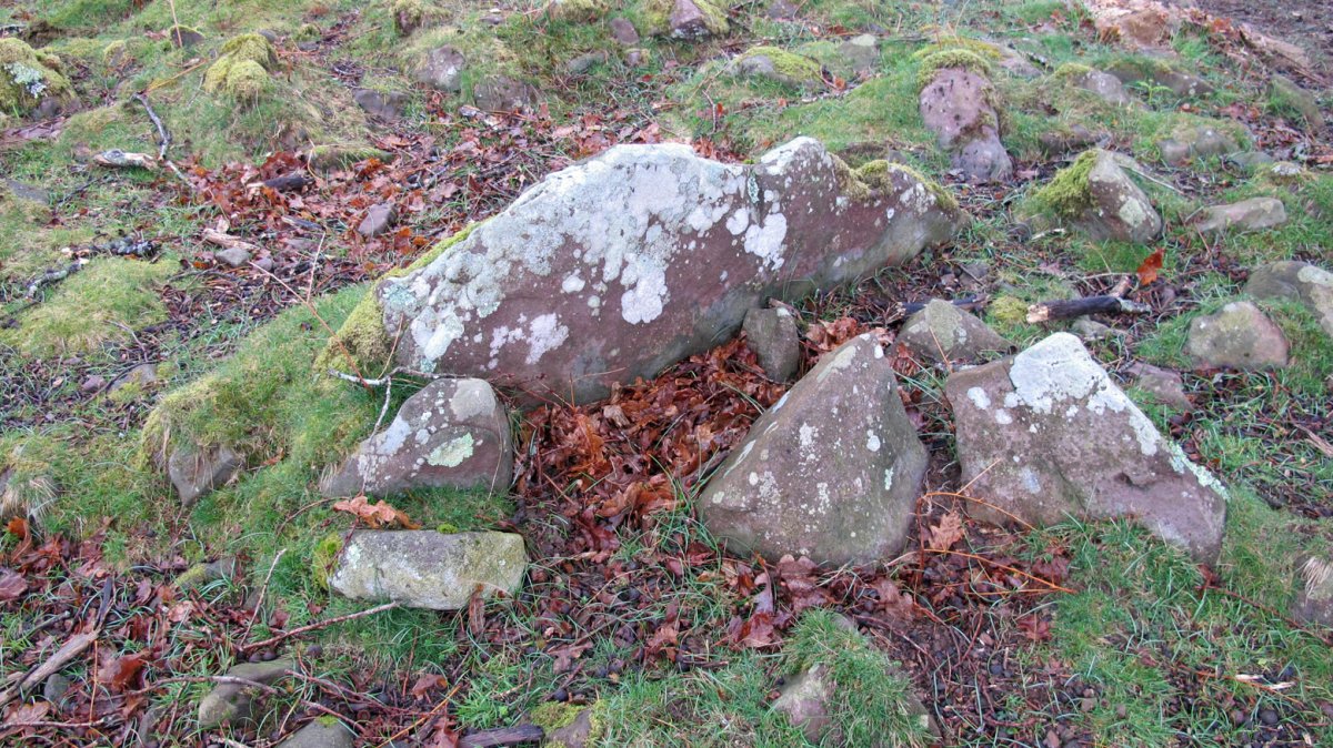 Aitzpulun trikuharria, Erratzu-Baztan