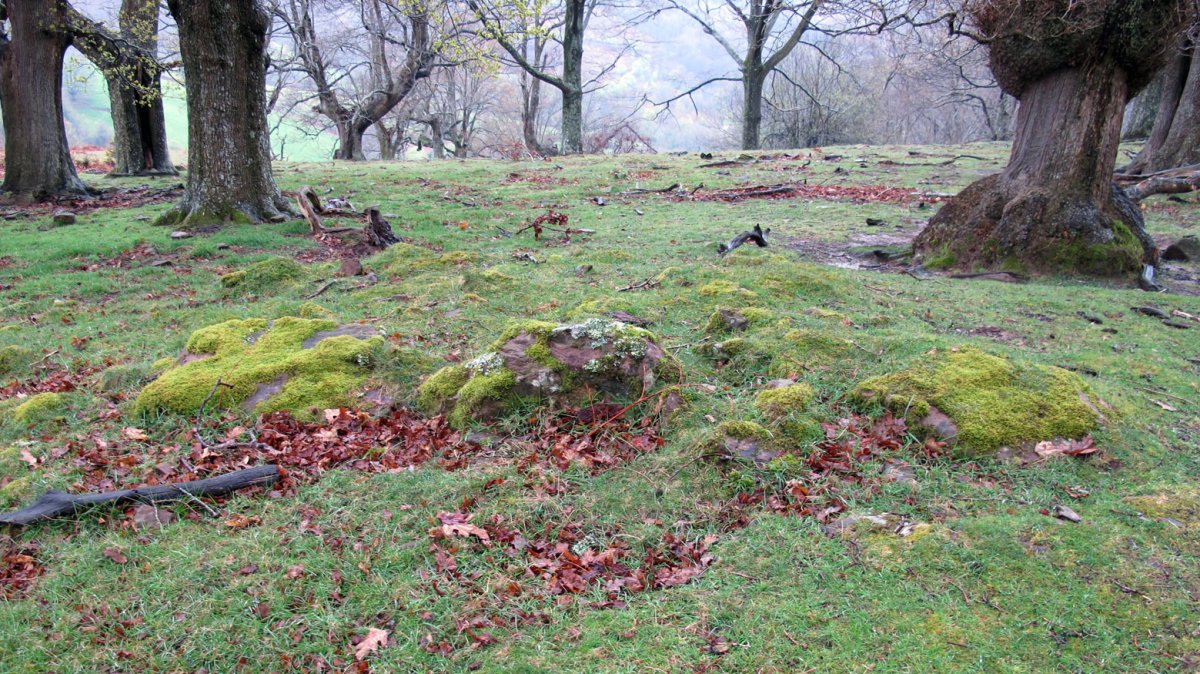 Aitzpulun tumulua, Erratzu-Baztan