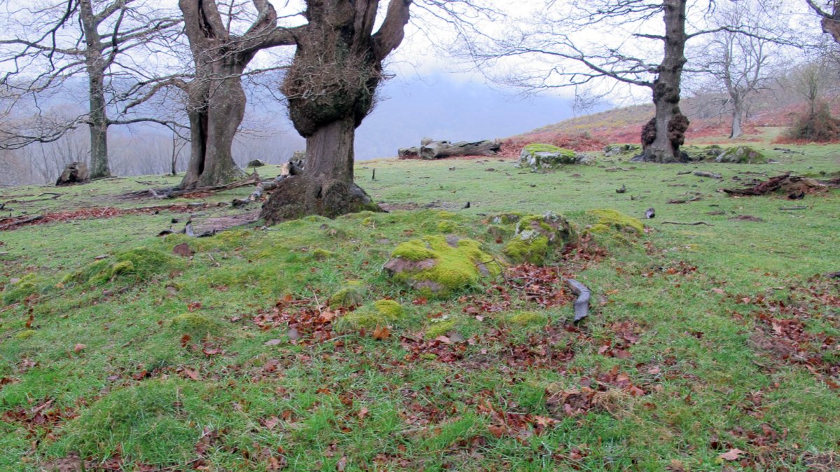 Aitzpulun tumulua, Erratzu-Baztan