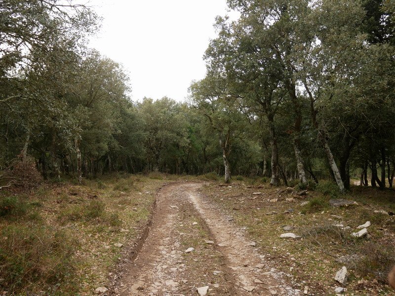 Hego-mendebaldeko bidea