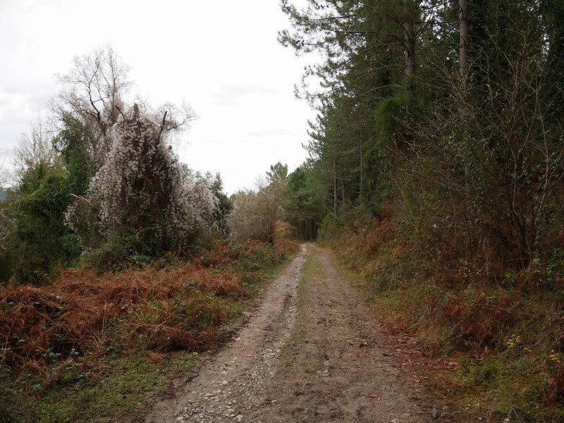 Ipar-mendebaldeko magaleko bidea