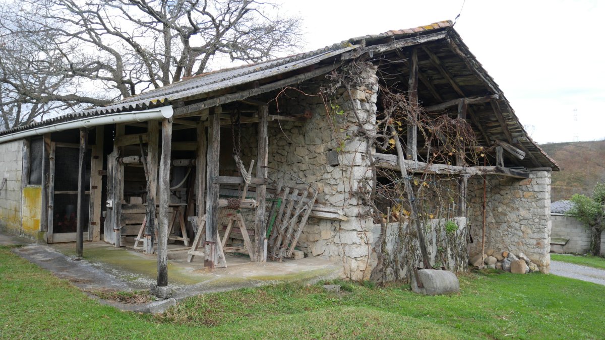 Illarraltzuetako perratokia