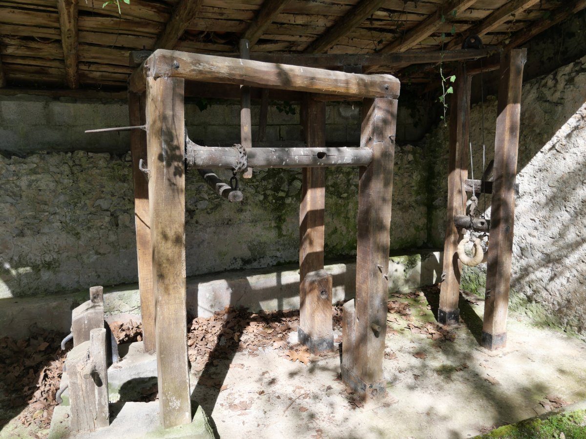 Alkaiagako perratokia