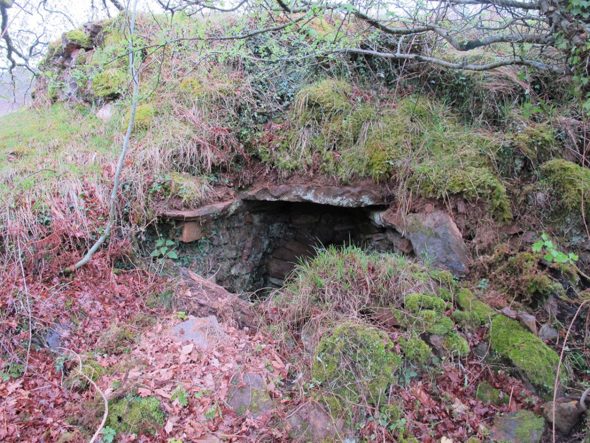 Urtsua karobia, Etxalar