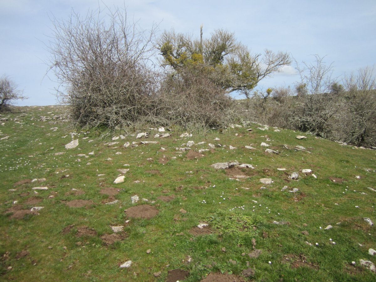 Txabola Tumular Osaleze (Abril 2022)