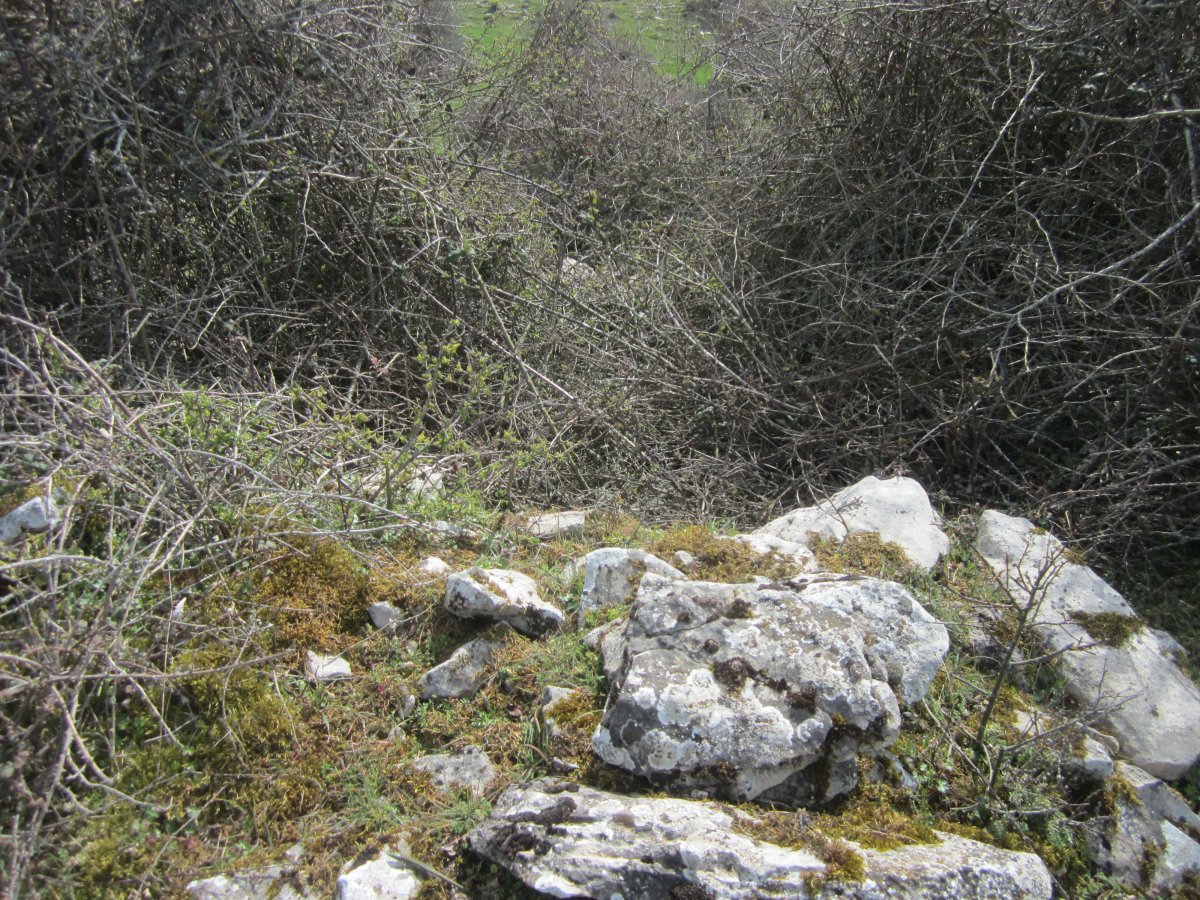 Txabola Tumular Osaleze (Abril 2022)