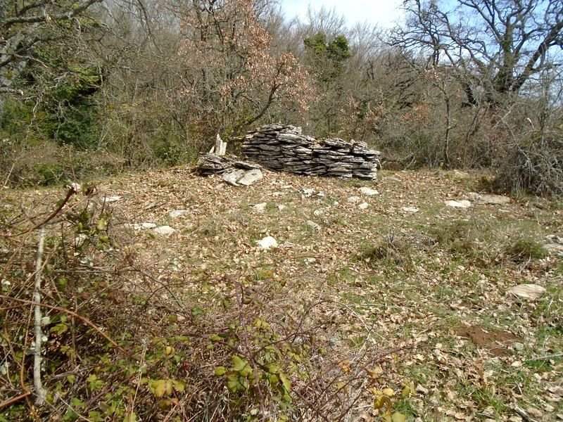 komostarri trikuharria