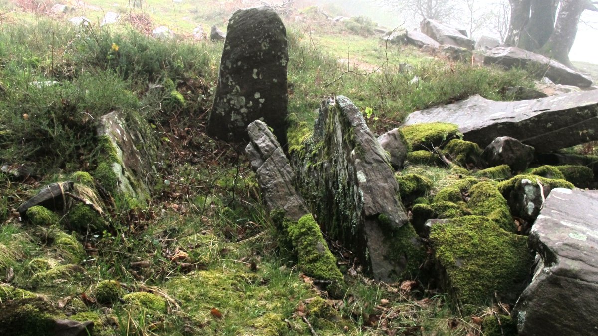 Zaharreta 1 ekialde trikuharria, Beartzun-Baztan