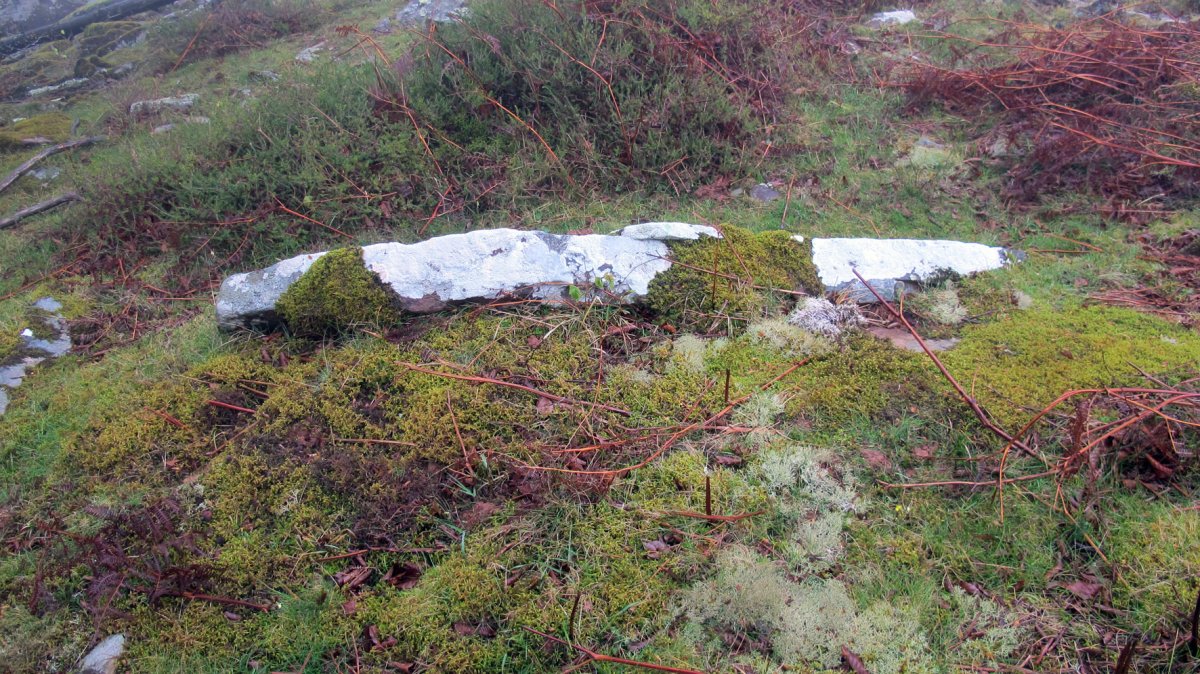 Zaharretako lepoa trikuharria, Beartzun-Baztan