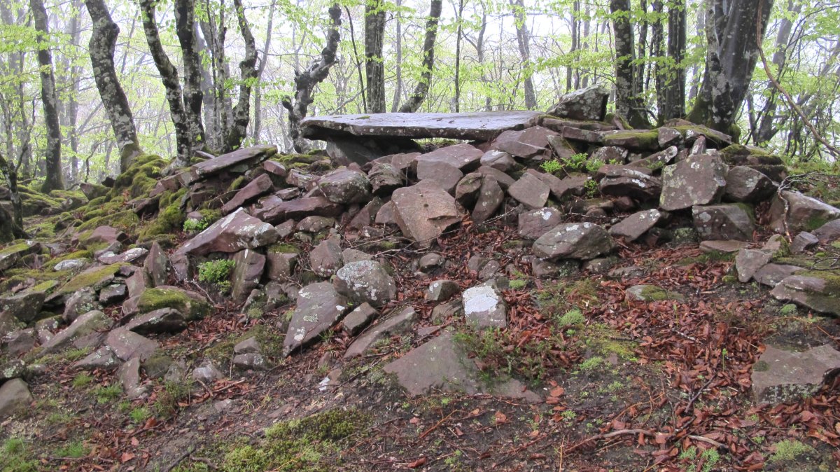 Zaharreta 2 mendebal trikuharria, Beartzun-Baztan