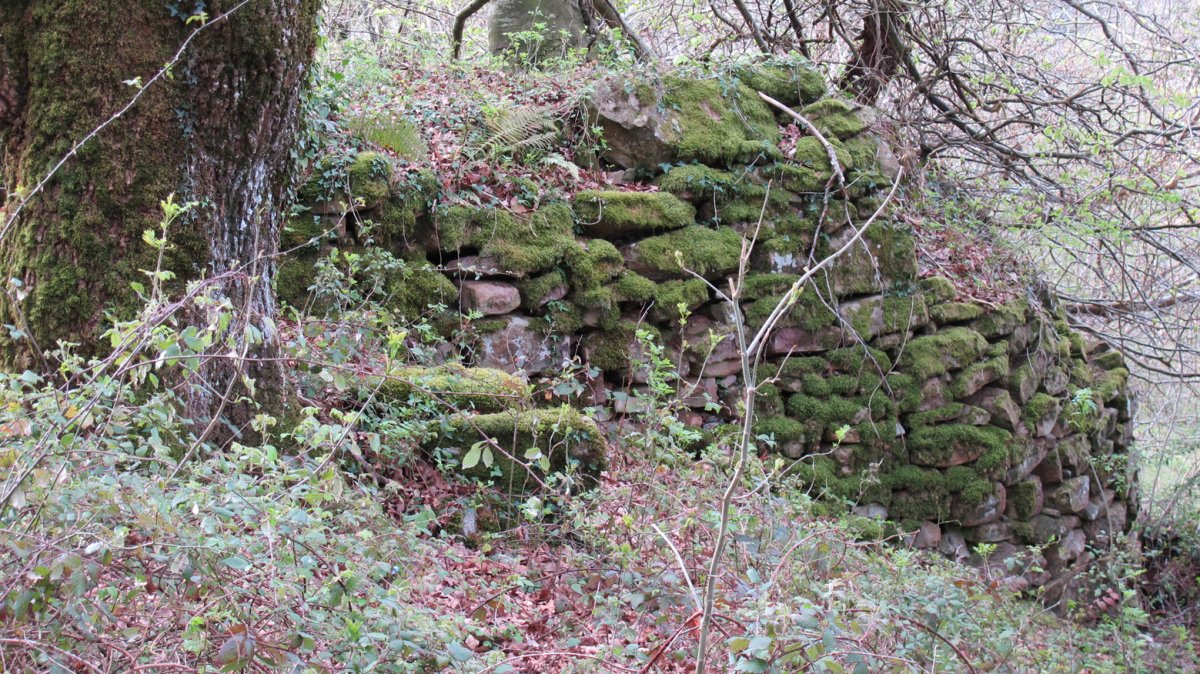 Xondoneko karobia, Beartzun-Baztan