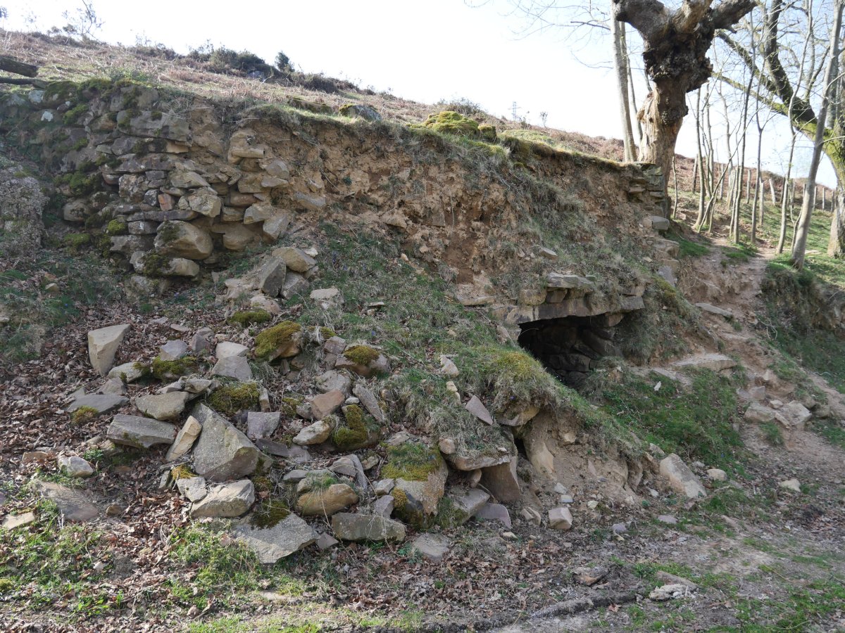 Olako bordako karobia