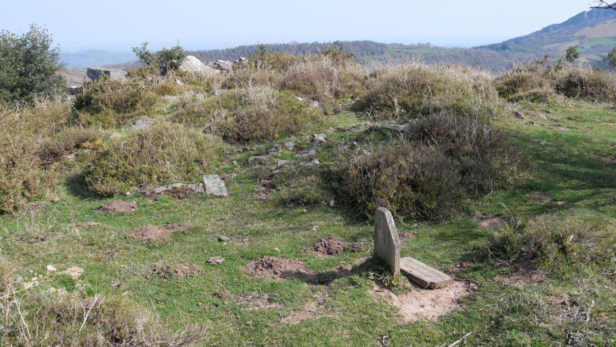 Maiko Gaña trikuharria