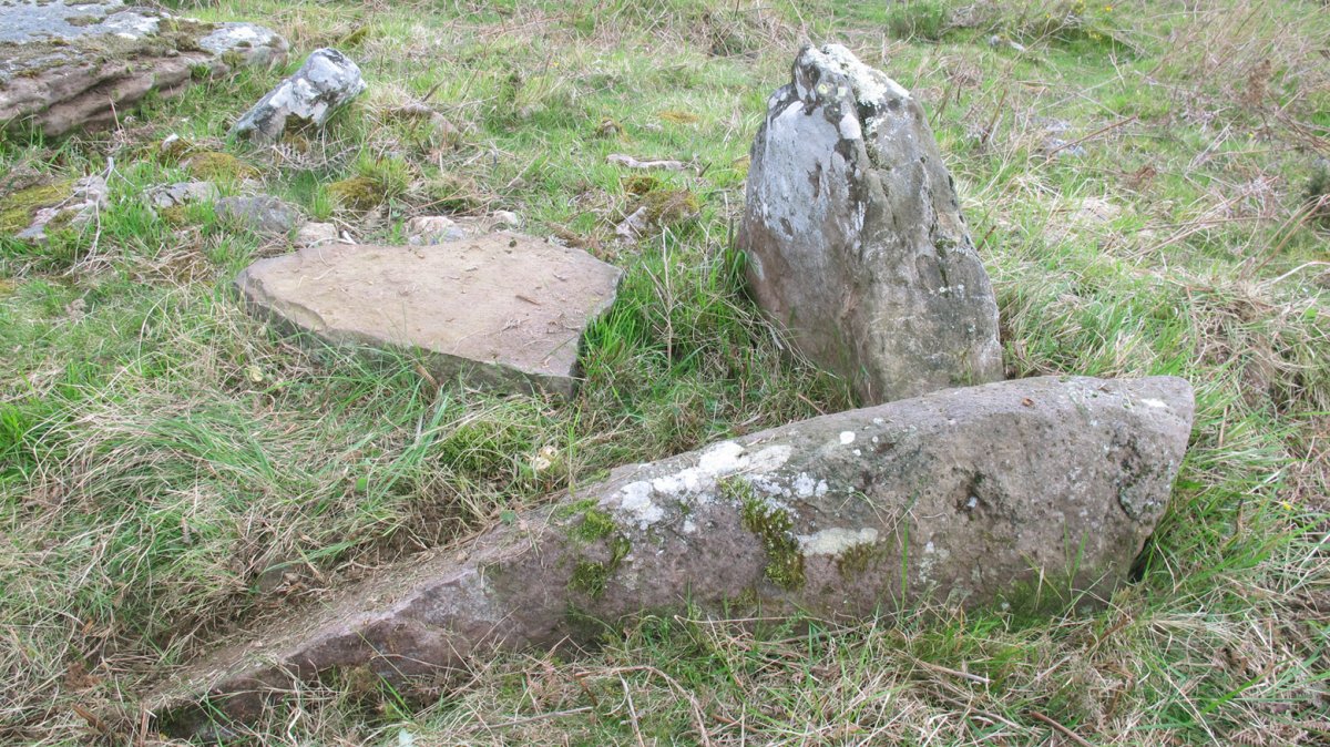 Irlintzi trikuharria, Berro-Baztan