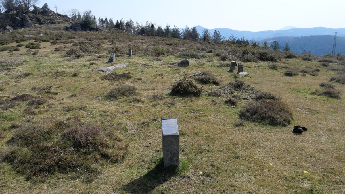 Pagolletako zelaia harrespila