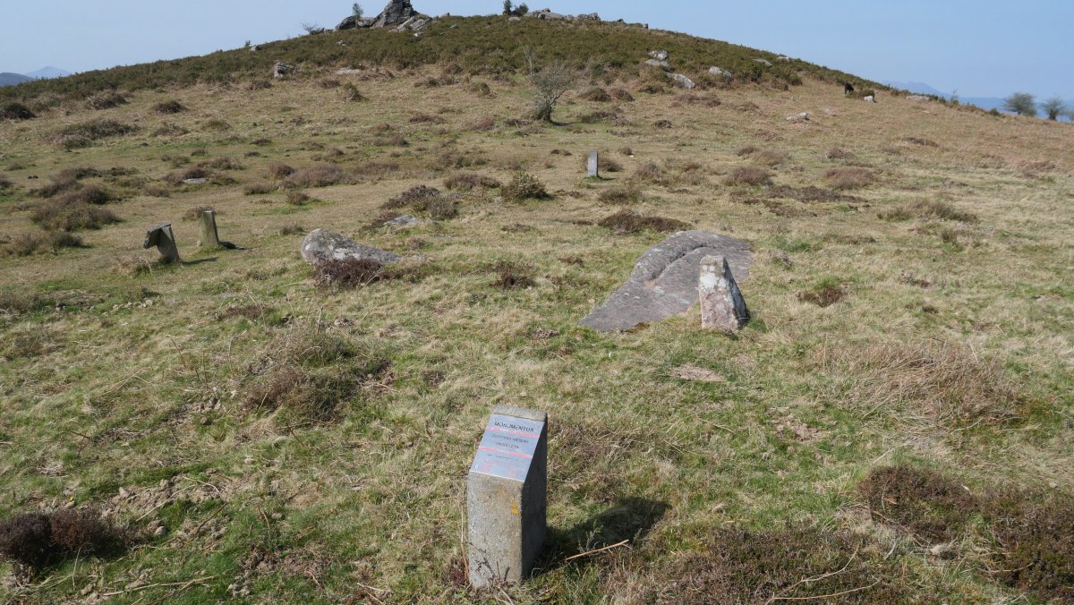 Pagolletako zelaia harrespila