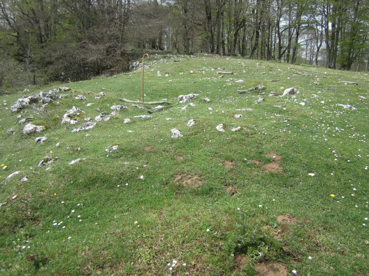 Túmulo Bardoitza IX (Abril 2022)