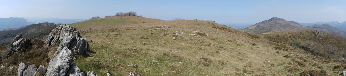 Altsoroi bizkarra, ekialdean