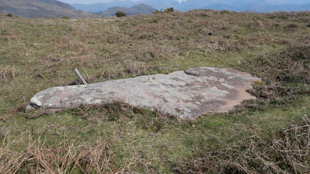 Altsoroi I Hego zutarria