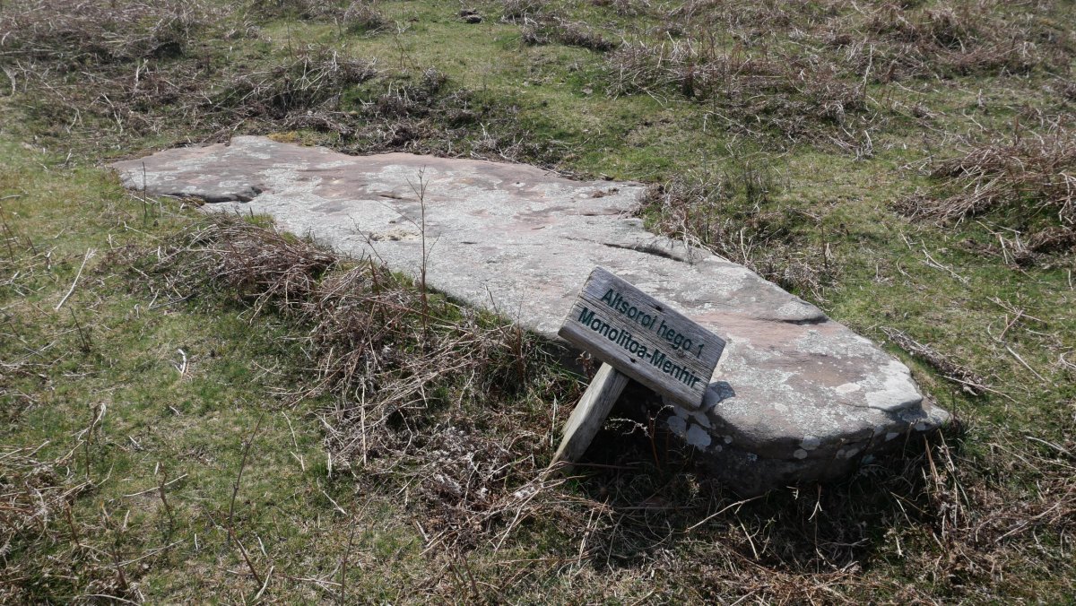 Altsoroi I Hego zutarria